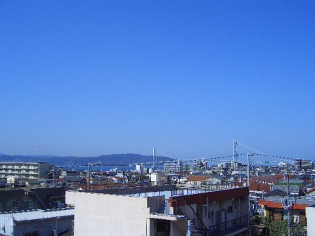 �뤬��������ʪ��ξܺ�