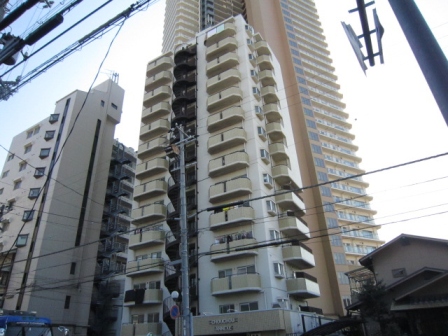 の投稿ブログの詳細
