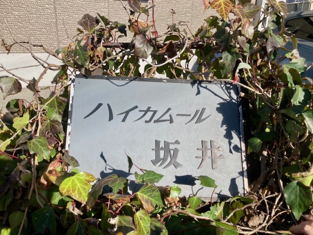 その他写真3