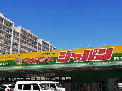 その他写真6