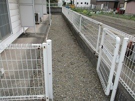 その他写真8
