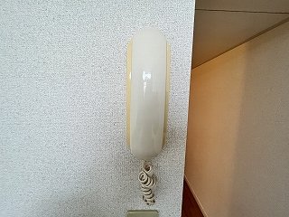 その他写真10