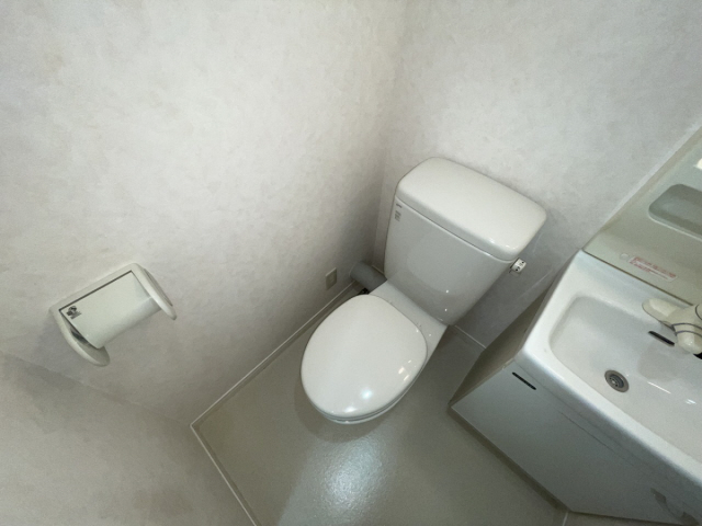 その他写真9