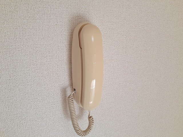 その他写真10