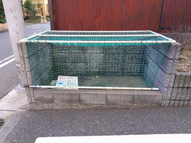 その他写真9