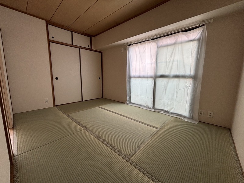 その他写真10