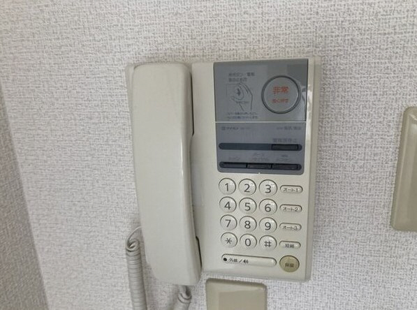 その他写真10