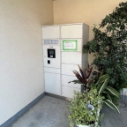 神戸市東灘区住吉宮町（ＪＲ東海道本線（近畿）住吉駅）のマンション賃貸物件 その他写真7
