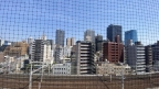 神戸市中央区北長狭通（ＪＲ東海道本線（近畿）神戸駅）のマンション賃貸物件 その他写真6