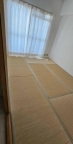 神戸市東灘区青木の賃貸