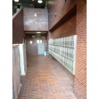 神戸市中央区脇浜町（阪神本線春日野道駅）のマンション賃貸物件 その他写真4