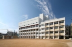 神戸市東灘区深江南町(阪神本線芦屋駅)のマンション賃貸物件 その他写真8