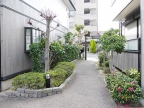神戸市東灘区深江北町（ＪＲ東海道本線（近畿）甲南山手駅）のアパート賃貸物件 その他写真5