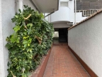 神戸市灘区岩屋北町(阪神本線岩屋駅)のマンション賃貸物件 その他写真5