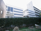 神戸市東灘区住吉宮町の賃貸物件外観写真