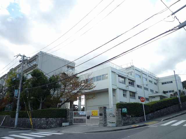 その他写真4