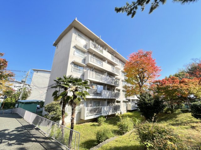 その他写真2