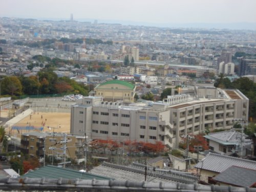 その他写真8