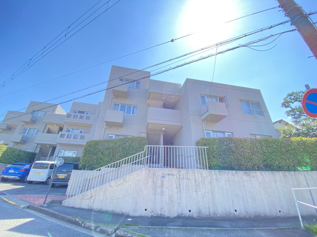 その他写真2