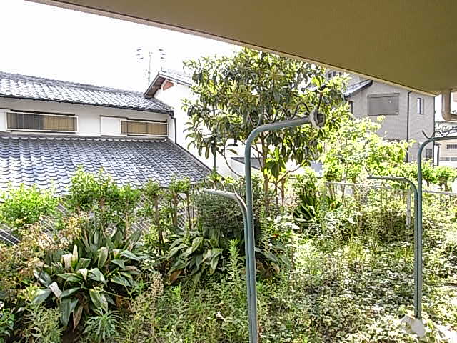 その他写真8