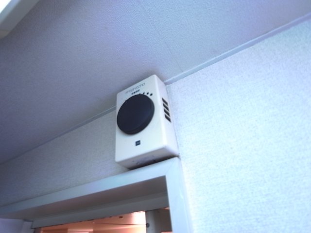 その他写真10