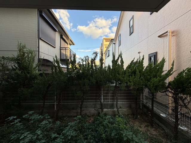 その他写真10