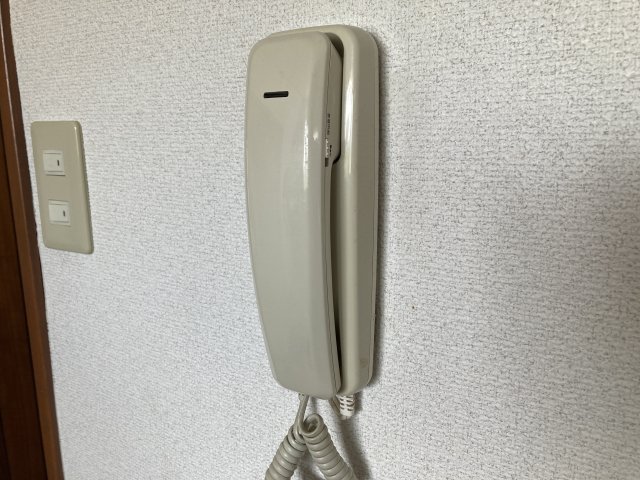 その他写真10
