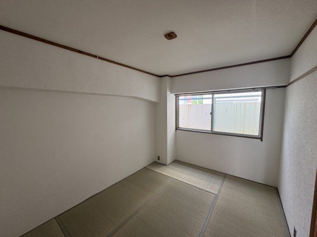 その他写真7