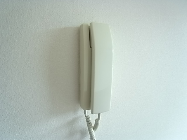 その他写真10