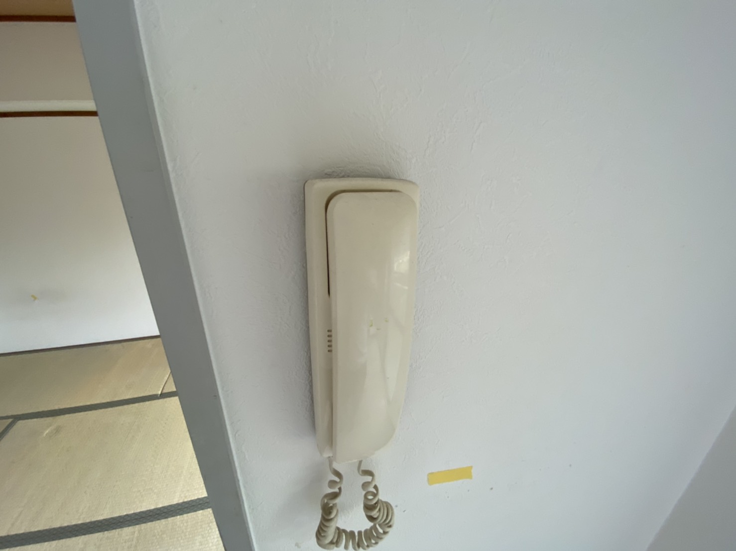 その他写真6