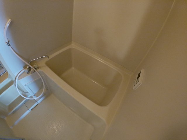 その他写真9