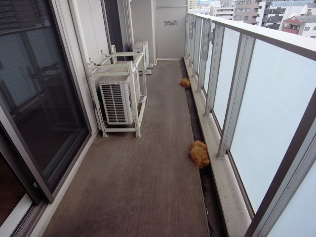 その他写真8