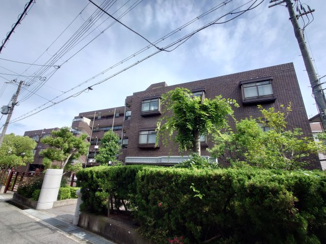 その他写真2