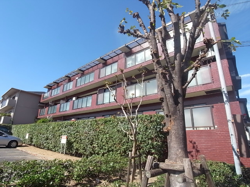 西宮市樋之池町の賃貸
