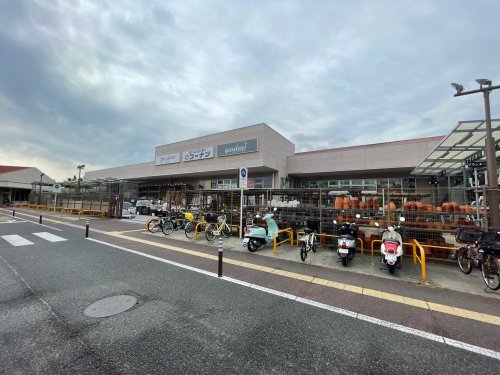その他写真6