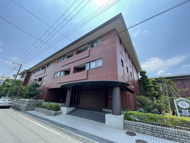 その他写真2