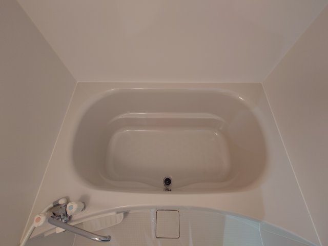 その他写真8