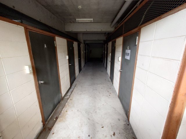その他写真7
