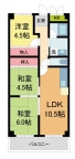 西宮市甲子園口の賃貸