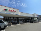 神戸市東灘区魚崎南町（阪神本線青木駅）のマンション賃貸物件 その他写真2