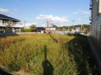 神戸市北区有野中町（神戸電鉄三田線岡場駅）のハイツ賃貸物件 その他写真8