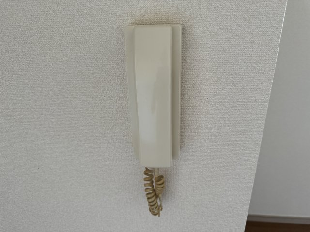 その他写真10