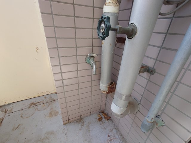 その他写真10