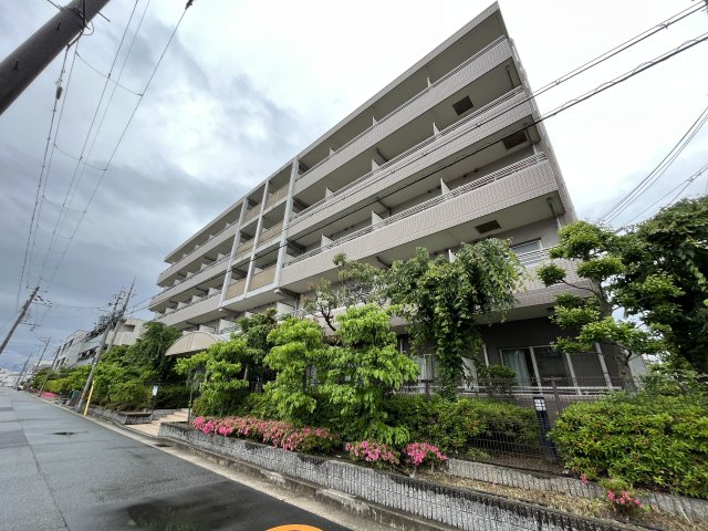 その他写真8