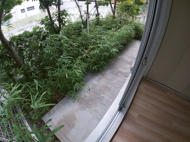 その他写真8
