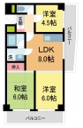 神戸市東灘区御影本町の賃貸