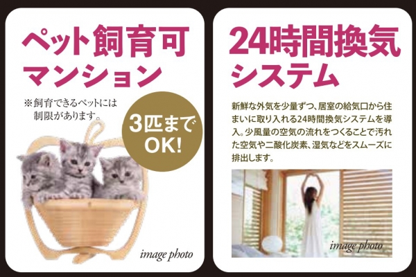 その他写真4