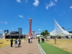 神戸市中央区栄町通（神戸市営地下鉄海岸線みなと元町駅）のマンション賃貸物件 その他写真4