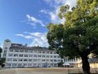 神戸市中央区中山手通（神戸市営地下鉄線三宮駅）のマンション賃貸物件 その他写真1