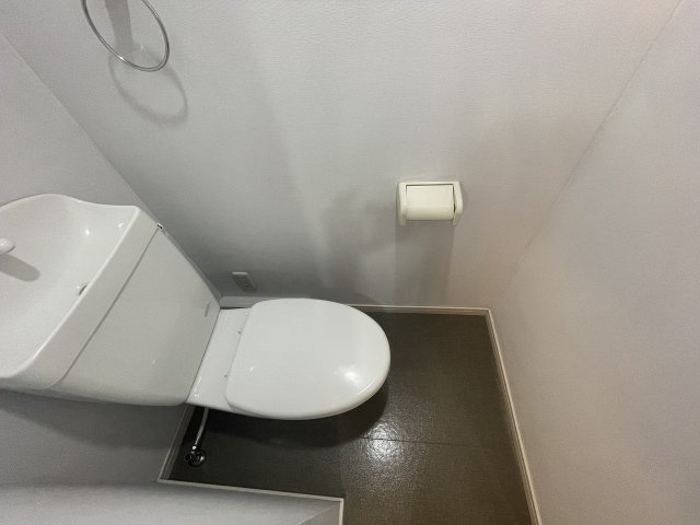 その他写真8